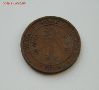 Британский Цейлон 1 цент 1870 г. до 21.03.24 - DSCN5111.JPG