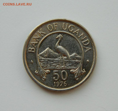 Уганда 50 центов 1976 г. (Фауна)  до 21.03.24 - DSCN5164.JPG