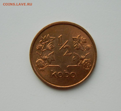 2 кобо 1973 г. до 21.03.24 - DSCN5011.JPG