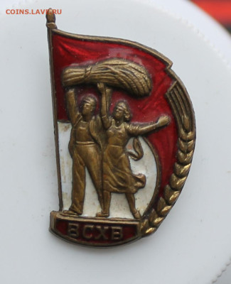 Значок ВСХВ - IMG_5744.JPG