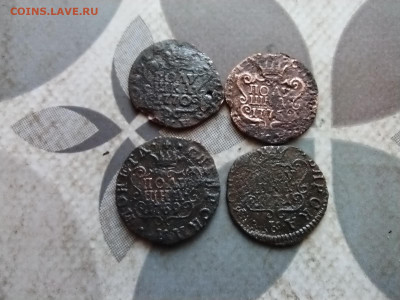 полушки 1769,1770,1771,1775 сибирь до 20.03.2024 - 4пол