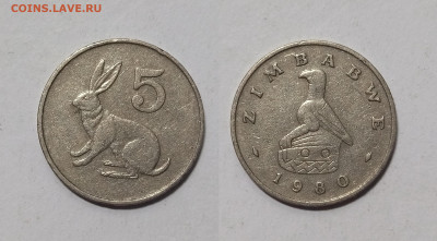 Зимбабве 5 центов 1980 года заяц - 19.03 - IMG_20240316_120138