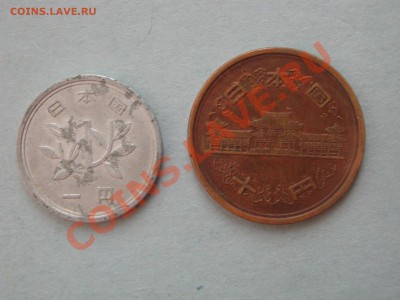 Азия опознать и оценить - DSCN4786.JPG