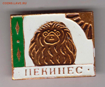 24 г. в 23.00 - 022