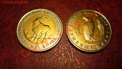 Красная книга. 1991г. до 15.01. 12г. 22-00мск. - P1040566.JPG