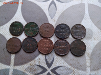 10 полушек 1850-1858 до 22.03.2024 - 10пол