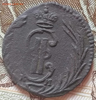 полушка сибирская 1771 км до 23.03.24 - сиб (1)