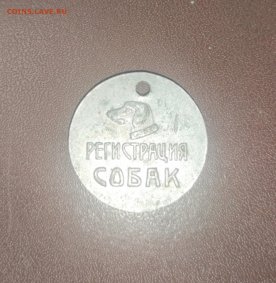 Жетон, регистрация собак, 1928 - IMG_20240320_162227