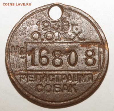 Жетон, регистрация собак, 1928 - Регистрация Собак
