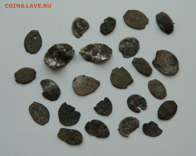 Лот "убитой" чешуи. до 27.03.24 - DSCN5843.JPG