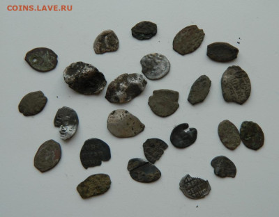 Лот "убитой" чешуи. до 27.03.24 - DSCN5845.JPG