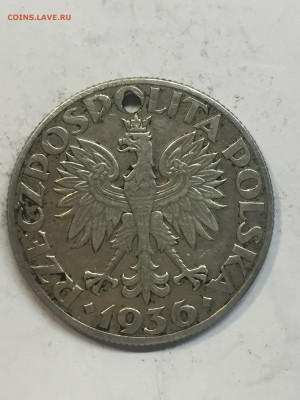 5 злотых 1936, Гдыня, с подвеса, до 28.03.2024 - E0709EA1-5349-4F61-A03B-B804A883A798