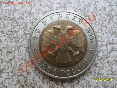 ПЕСЧАНЫЙ СЛЕПЫШ 1994г 50 руб до 21.01.12 в 22-00 мск. - SAM_4119.JPG