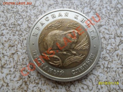 ПЕСЧАНЫЙ СЛЕПЫШ 1994г 50 руб до 21.01.12 в 22-00 мск. - SAM_4120.JPG