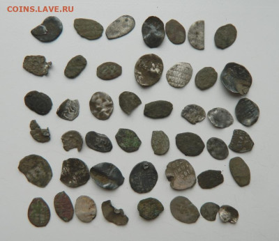 Лот "убитой" чешуи № 2. до 28.03.24 - DSCN6042.JPG