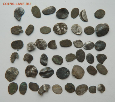 Лот "убитой" чешуи № 2. до 28.03.24 - DSCN6044.JPG