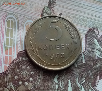 5 копеек 1953. До 29.03.24 в 22.00 - 20240324_131558