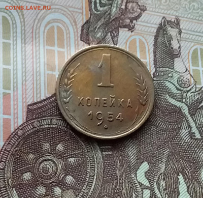 1 копейка 1954. До 29.03.24 в 22.00 - 20240324_145403