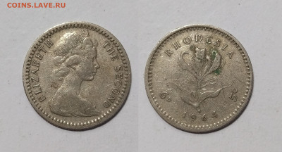 Родезия 6 пенсов (5 центов) 1964 года - 26.03 - IMG_20240316_120711