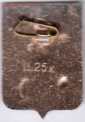 24 г. в 23.00 - 003