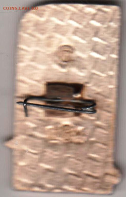 24 г. в 23.00 - 007