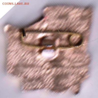 24 г. в 23.00 - 009