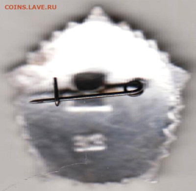 24 г. в 23.00 - 010