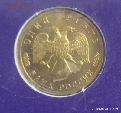 Набор 300 лет флота до 25.03 - IMG_20240325_095248