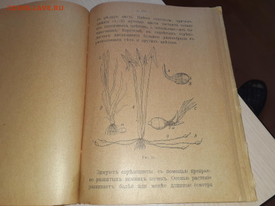 Книга Средь вод и болот 1917г Петроград - 20240326_070758
