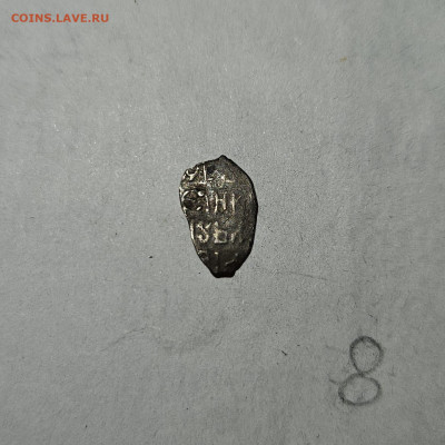 Чешуйки на определение и оценку - IMG-20240326-WA0085