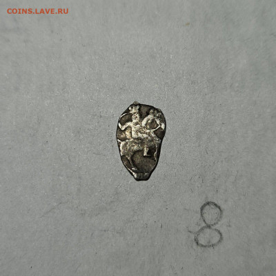 Чешуйки на определение и оценку - IMG-20240326-WA0080