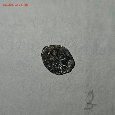 Чешуйки на определение и оценку - IMG-20240326-WA0086