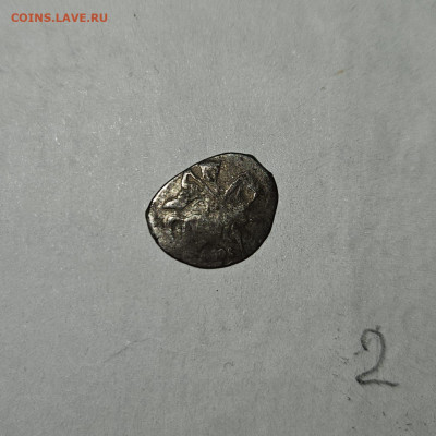 Чешуйки на определение и оценку - IMG-20240326-WA0073