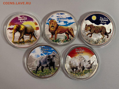 240фр 2008 Конго. Большая африканская пятерка (5шт), Ag999 - ЯЯ Большая 5-ка-2