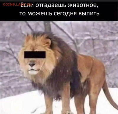 Юмор - 1711345327