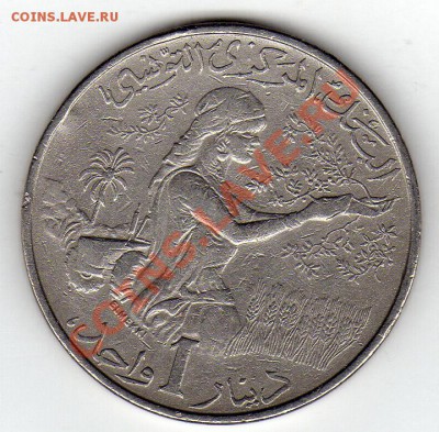 ТУНИС ДИНАР 1976 ФАО ДО 19.01.12 В 22Ч (1337) - img235