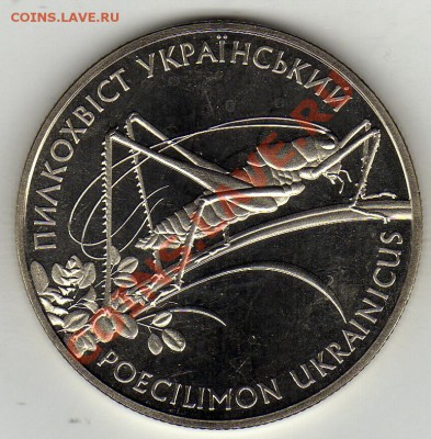 УКРАИНА 2 ГРИВНЫ 2006 КУЗНЕЧИК ДО 19.01.12 В 22Ч (1400) - img266