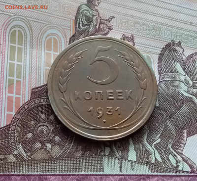 5 копеек 1931. До 05.04.24 в 22.00 - 20240331_134857
