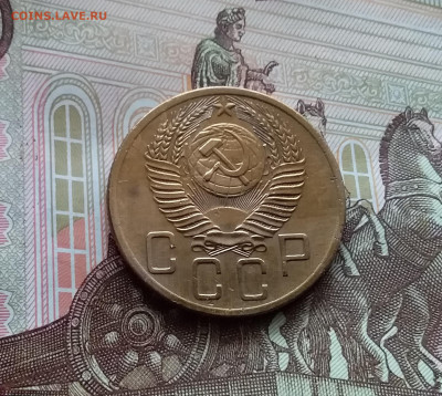 5 копеек 1954. До 05.04.24 в 22.00 - 20240331_135913