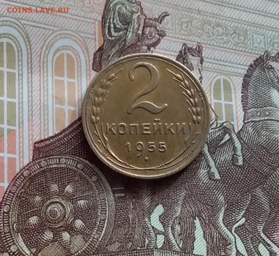 2 копейки 1955. До 05.04.24 в 22.00 - 20240331_163535