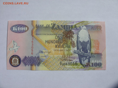 100 квача Замбия. Пресс. 1992. - 100 квача Замбия 1992 Пресс - 1
