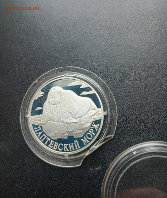 1 рубль 1998 г.Лаптевский морж До 07.04.2024 20-00 мск - 20240331_162432