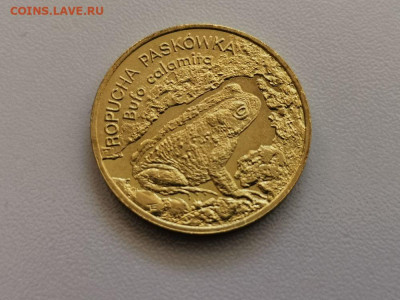 2 злотых Польша 1998 Камышовая жаба, до 07.04 - 1998 Жаба-1
