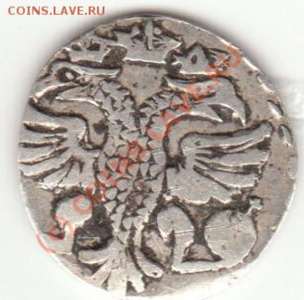 Алтын - altin1