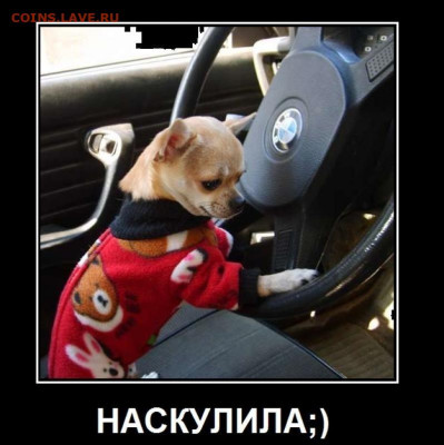 Ассоциация слов. - 15194a35a530c0b660527a7acdbd5ccd