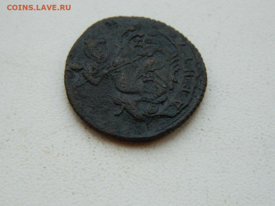 денга ЕМ 1772 до 6.04.2024 22-00 - DSCN5932.JPG