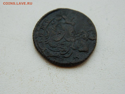 денга ЕМ 1772 до 6.04.2024 22-00 - DSCN5930.JPG