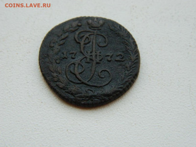 денга ЕМ 1772 до 6.04.2024 22-00 - DSCN5924.JPG