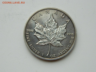 5  долларов Канада 1988 до 6.04.2024 22-00 - DSCN5709.JPG