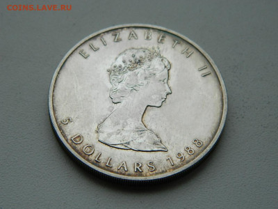 5  долларов Канада 1988 до 6.04.2024 22-00 - DSCN5705.JPG